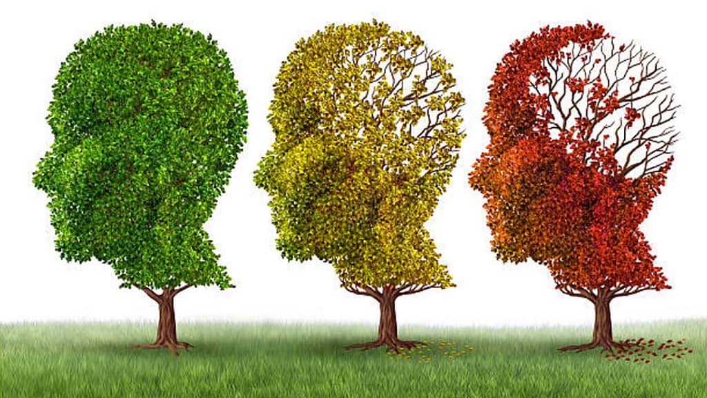 Graphic of three heads