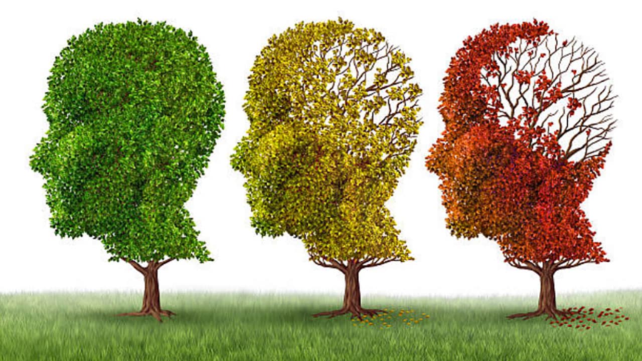 Graphic of three heads